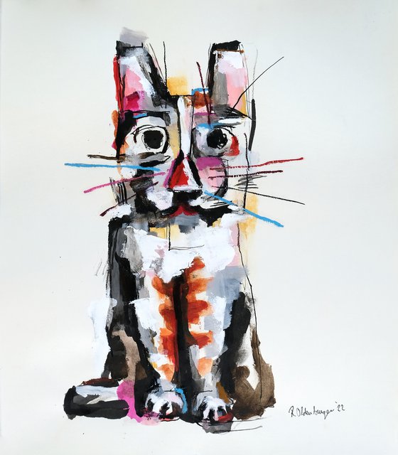 Colorful Cat
