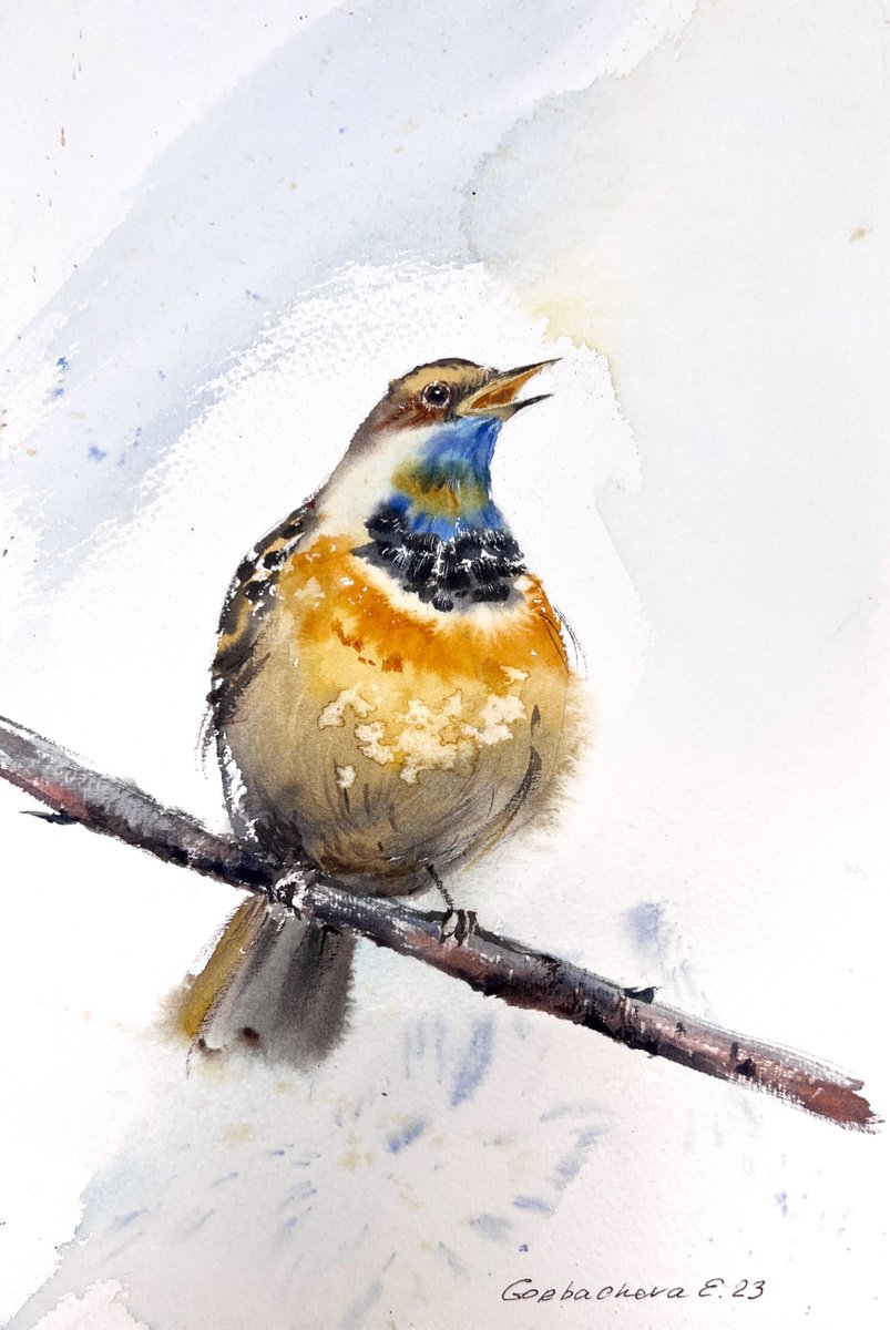 Eugenia Gorbacheva | Original Watercolour | Bird On A Branch | 20 X 31Cm | Artwork For Sale On Artfinder