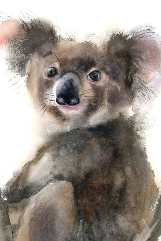 Koala - Original Watercolor Painting