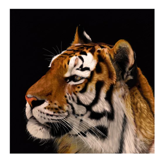 Bengal Tiger Digital Art