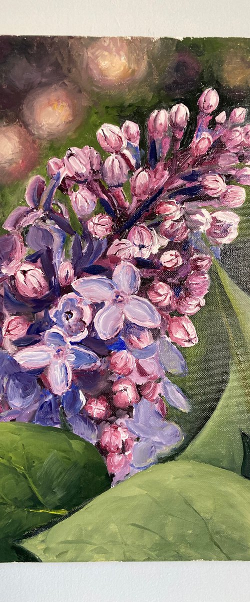 lilac head by Donn Poll