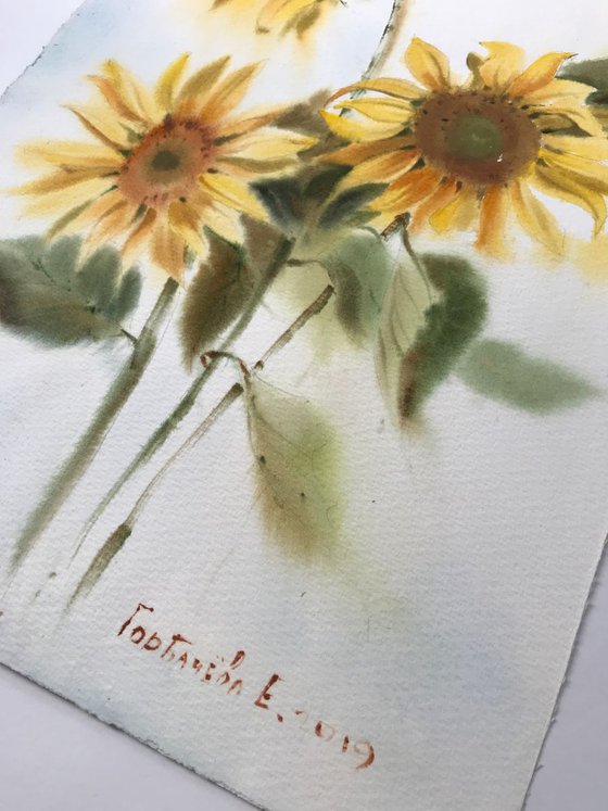 Sunflowers