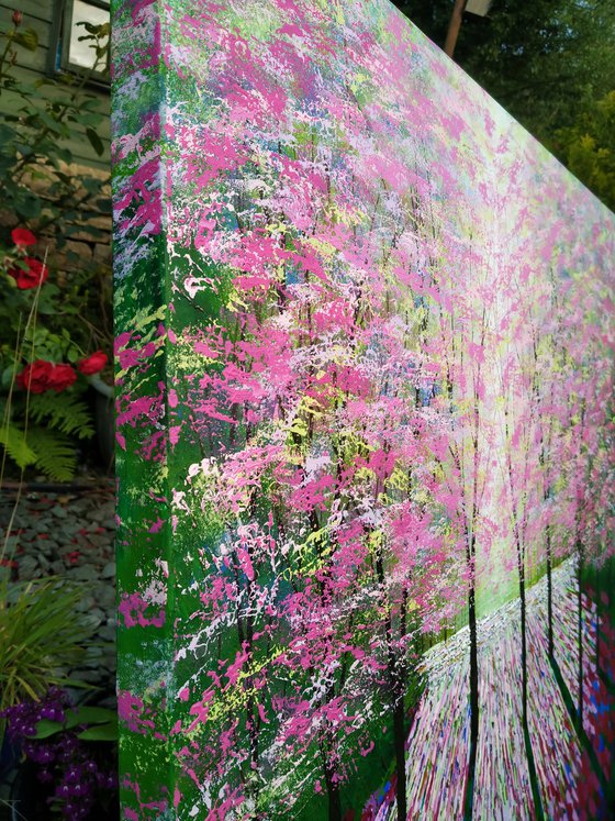 Spring Lights