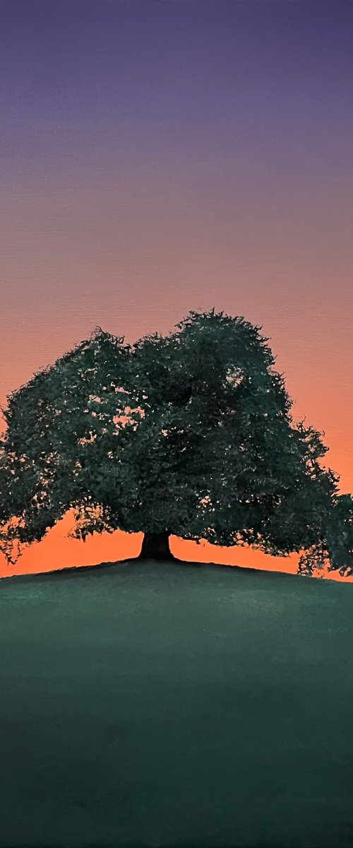 Twilight by Victoria Obolensky