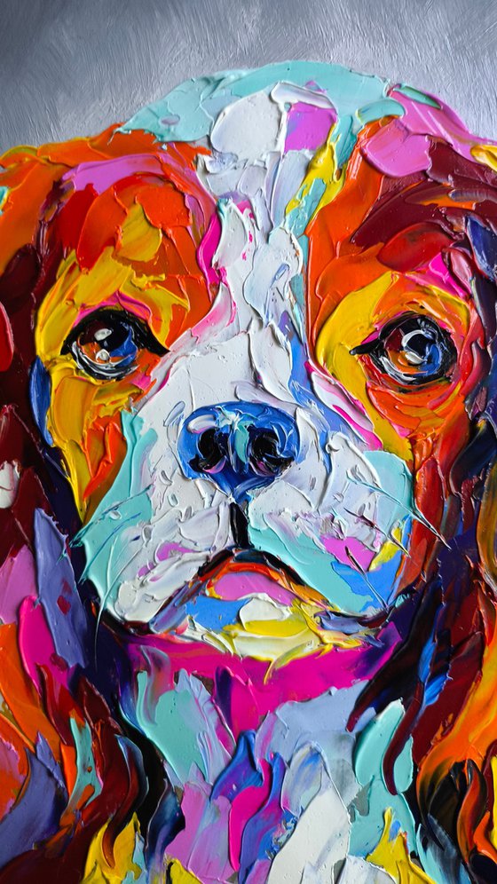 Cavalier King Charles Spaniel