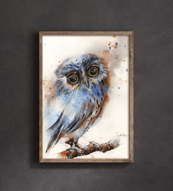 The Owl