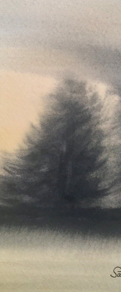 Windy pines by Samantha Adams