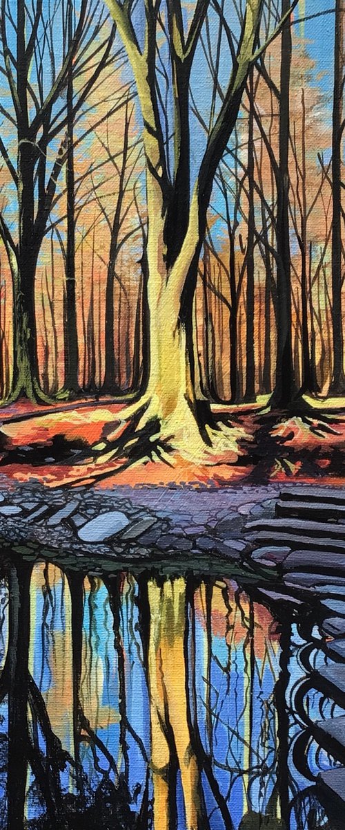 Stepping Stones On The Shimna by Joseph Lynch