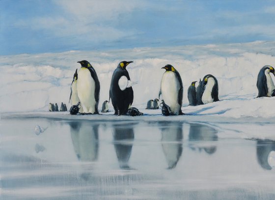 Penguin Colony
