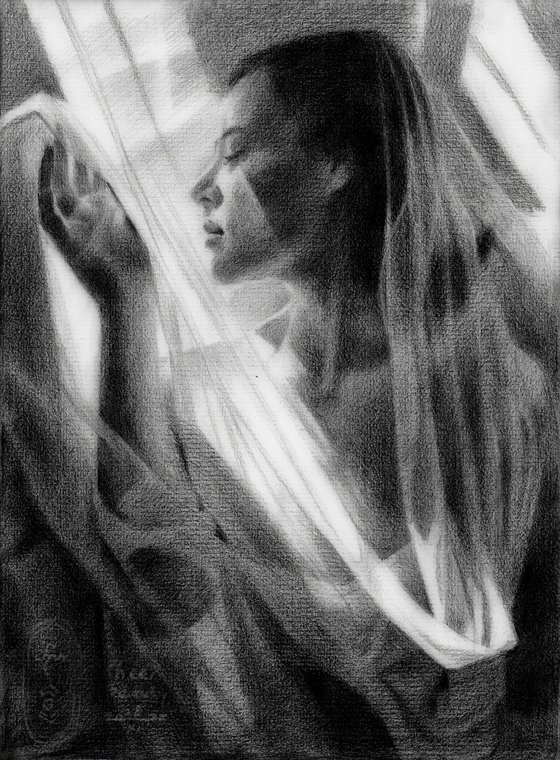 Sheer Beauty - 28-11-25