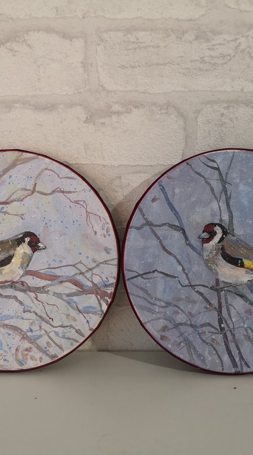 Goldfinch by Elena Sanina