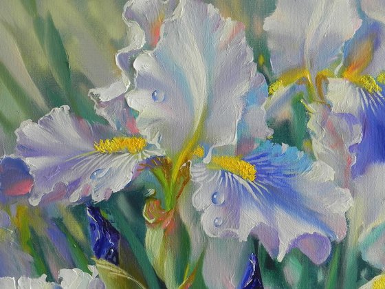 "Irises" Original painting Oil on canvas Home decor