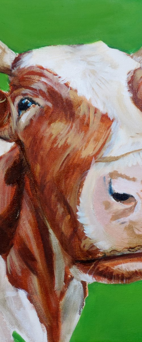 Cow portrait close up painting green background by Gordon Bruce