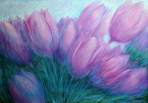 Violet Tulips
