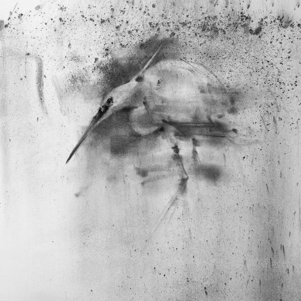 Little egret by Tianyin Wang