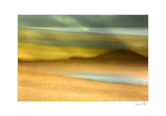 Harvest Time, Orkney