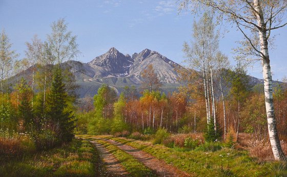 Birch grove