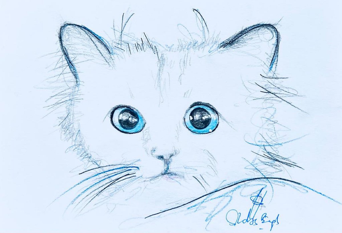 Expressive Animal Ink Drawing By Shabs Beigh, 17 X 13", Choupette 2, Original Artwork