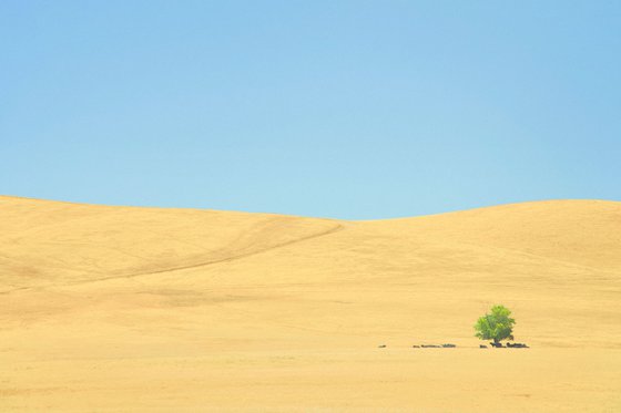 High Noon