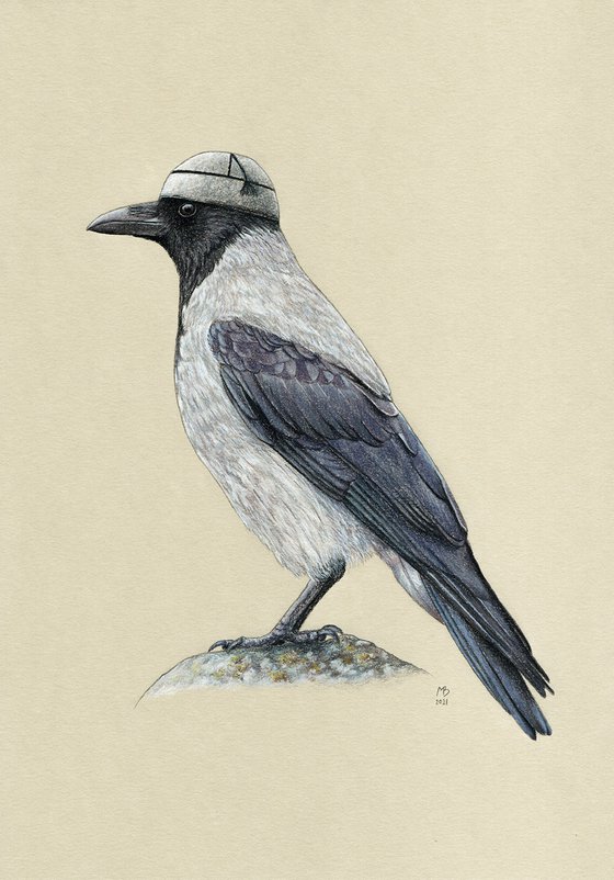 Original pastel drawing bird "Hooded crow"