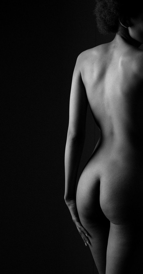 Studio Work (#796) by Robert Tolchin