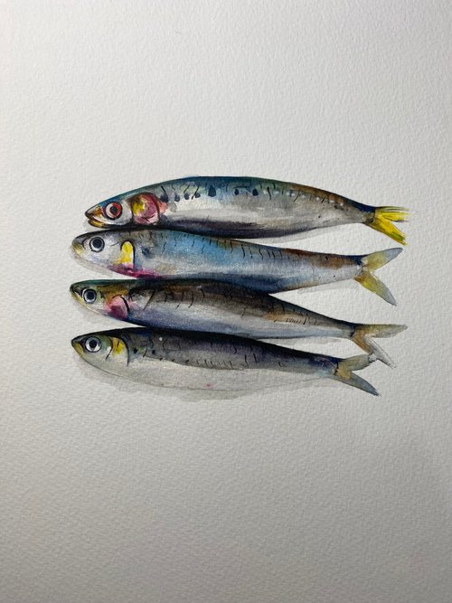 Sardines.. watercolour painting by Bethany Taylor