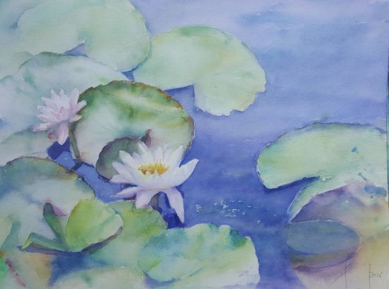 WATER LILY. MY DREAM GARDEN 2018 original watercolor 31X41