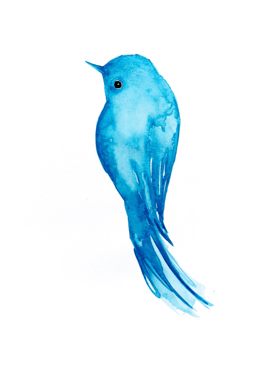 Bird by Nadia Moniatis