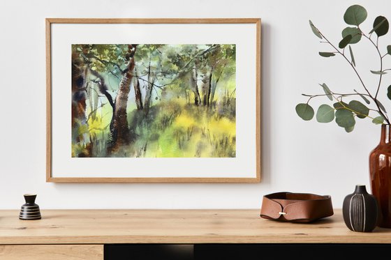 Summer Forest