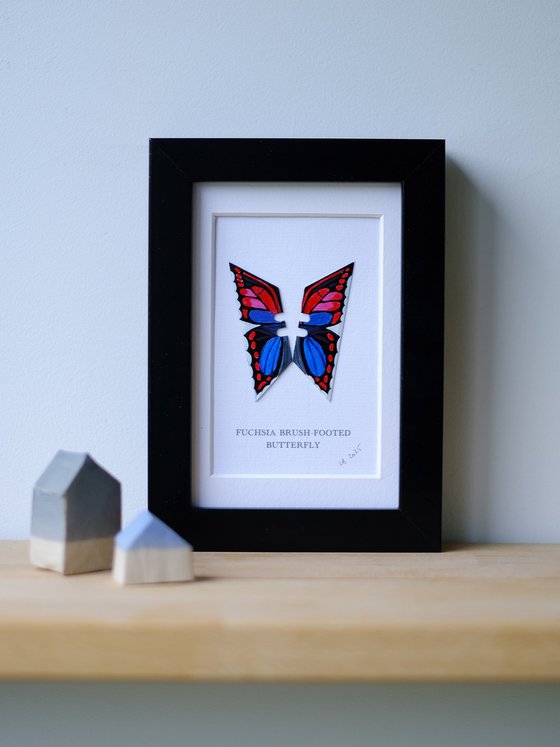 Fuchsia Brush-footed butterfly