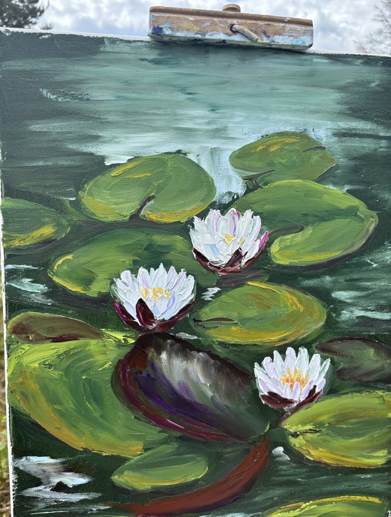 Serenity of Water Lilies