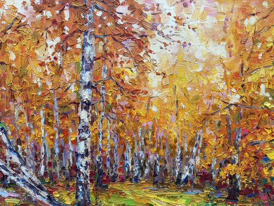 " Birch forest "
