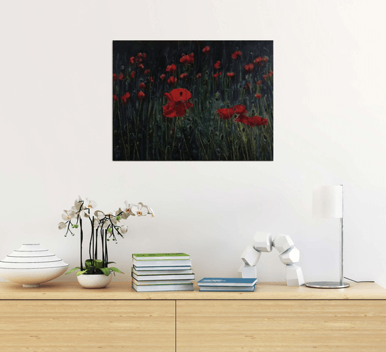 Red poppy field