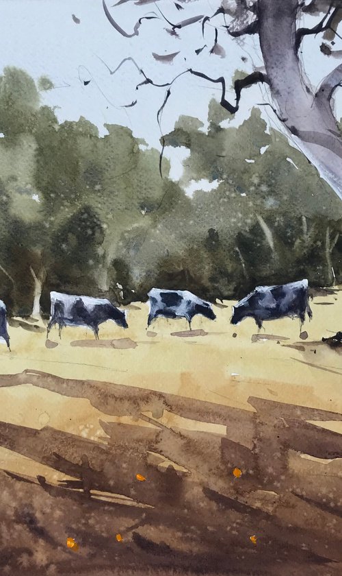 Cows Grazing in the Village Fields by Swarup Dandapat