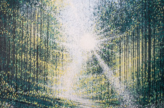 Dawn Light Through Trees