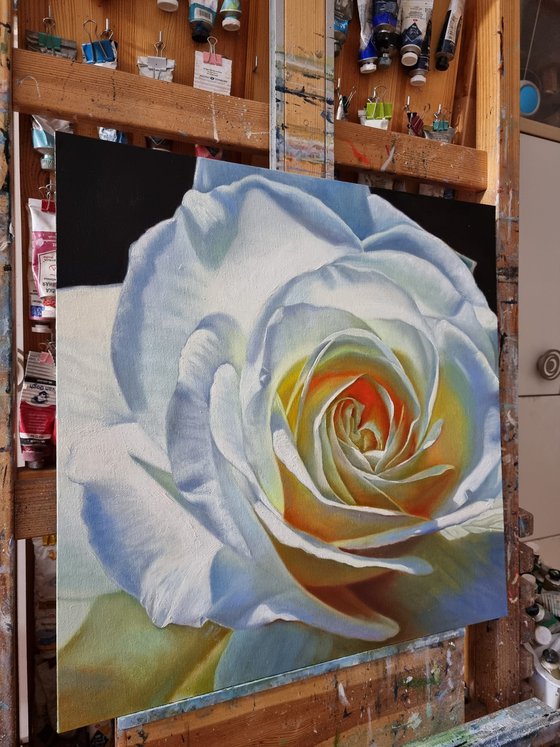 "Glowing."  rose flower  liGHt original painting  GIFT (2021)