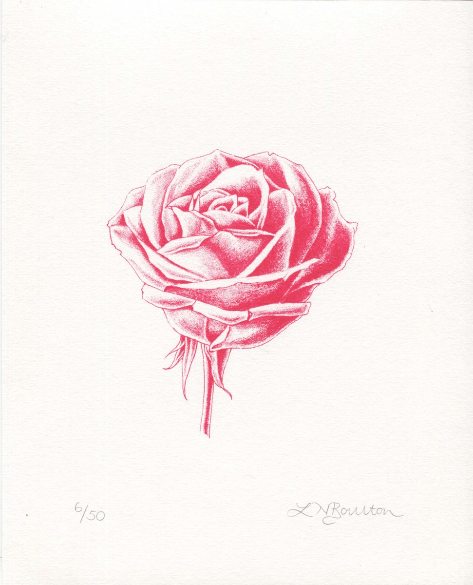 Illustrative Botanical Screenprint By Louise Boulton, 8 X 10", Red Rose, Original Artwork