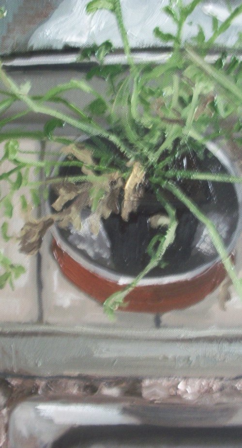 Plant in the Kitchen Window by Jack Bagley