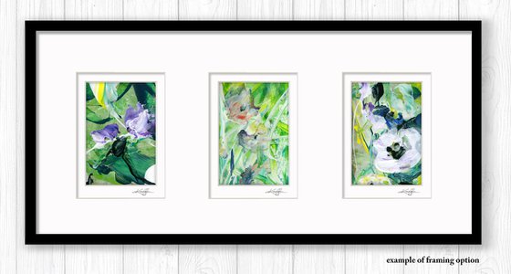 Blossoms Of Love Collection 2 - 3 Floral Paintings by Kathy Morton Stanion