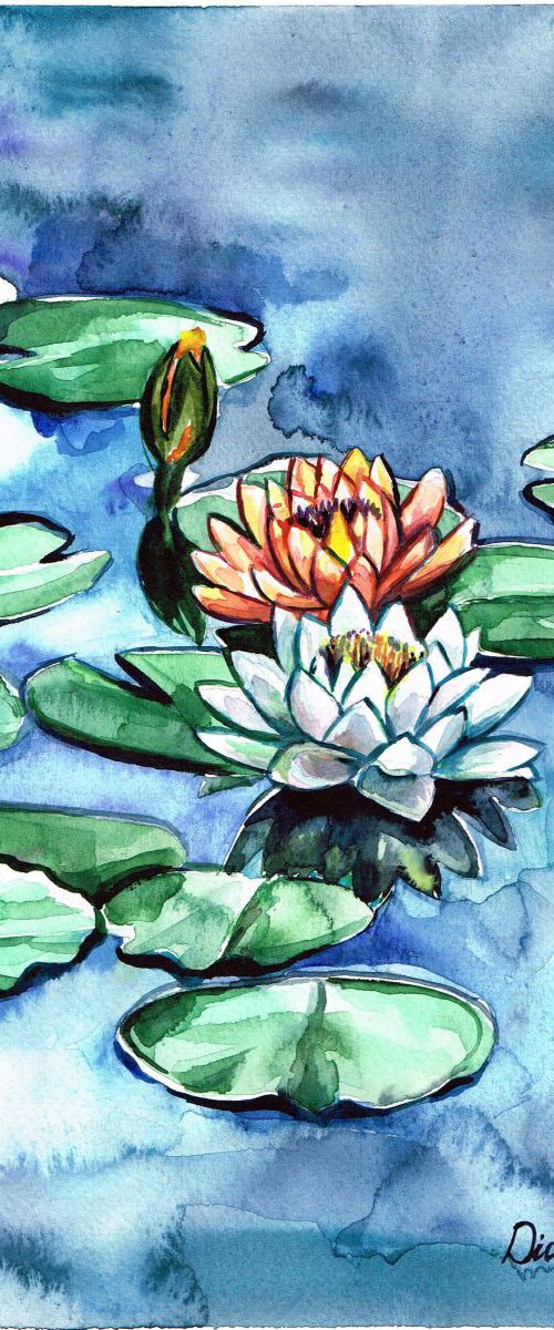 Waterlily flowers by Diana Aleksanian