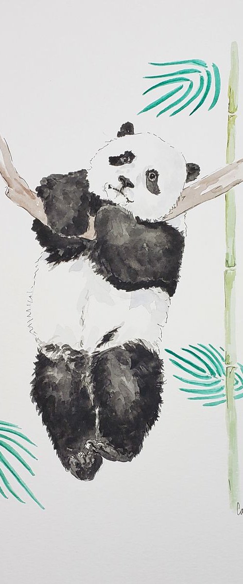 Hanging In There II by Katrina Case