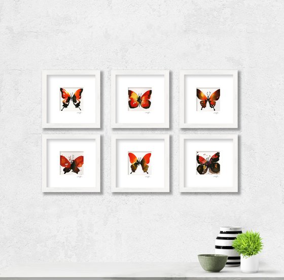 Butterfly Song Collection 1