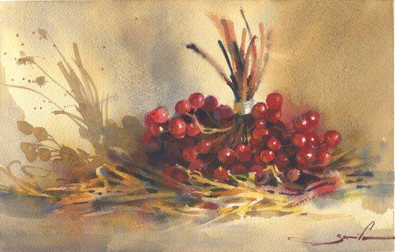 Viburnum watercolor nature