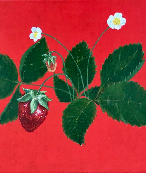Strawberry by Marina Deryagina