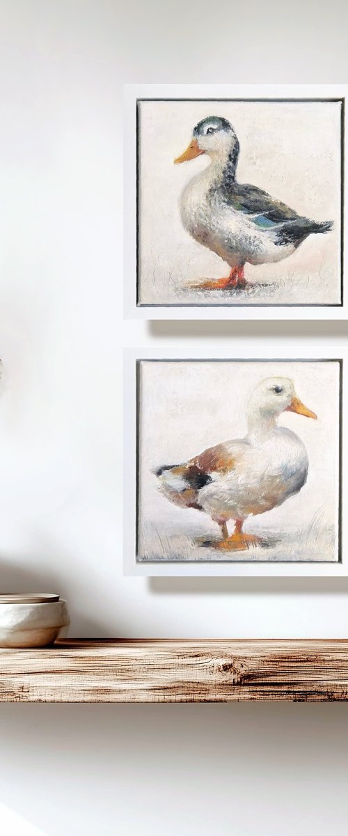 Ducks, framed diptych by Alena Post