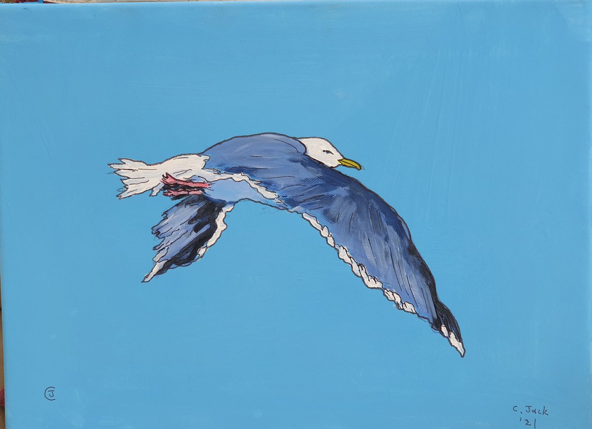 Seagull #3 by Colin Ross Jack