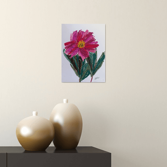 Peony flower