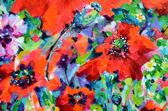 Papaveri Orientali Poppy Oriental Red Poppies