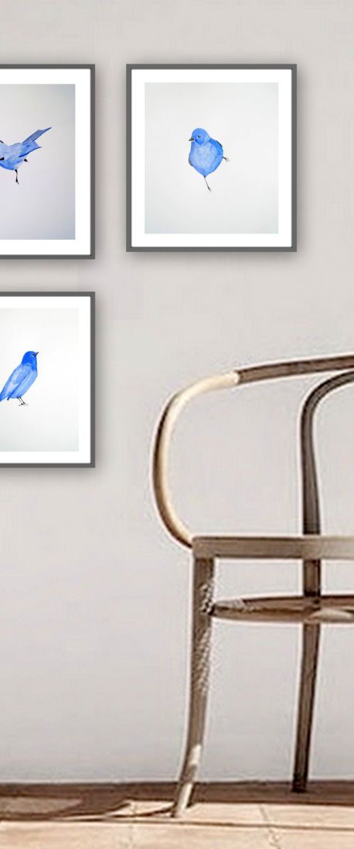Birds by Nadia Moniatis