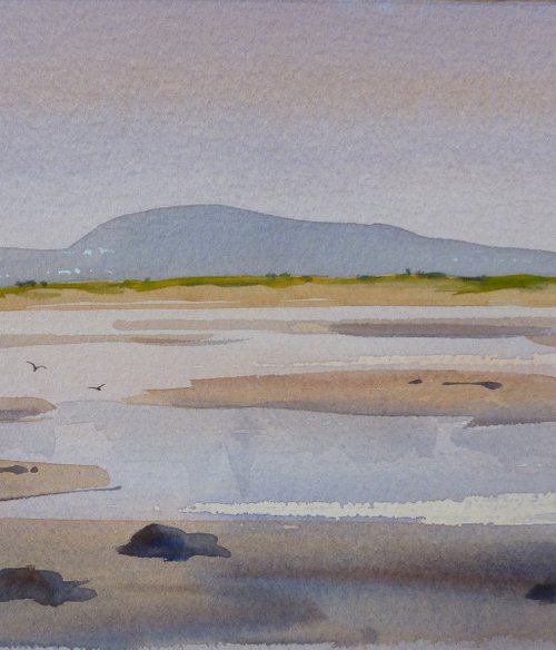 The Bull Island by Maire Flanagan